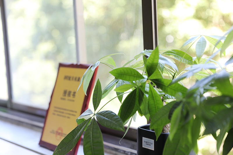 New Office Environment