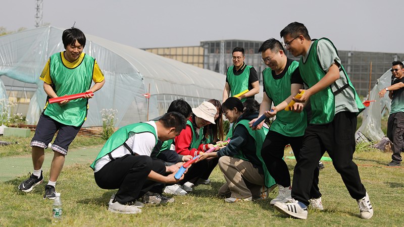 Team building activities