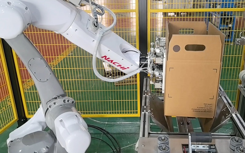 Robotic case erector