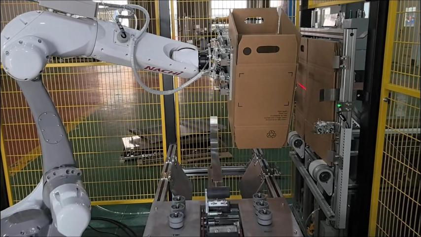 Robotic case erector